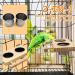 Tfwadmx Bird Food Stainless Steel Cups Wooden Perch Stand - Hanging Feeder Bowls for Parakeets, Conures, Cockatiels, Budgie Parrot - Feeding & Watering Supplies - Buy Online on SooperMarket.com