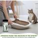 SCENT AWAY Cat litter Deodorizer Litter Box Odor Eliminator | Fragrance Free Cat Litter Deodorizer with ACTIVE CARBON | Eliminates Cat Odors and Smells to Keep Your Home Fresh and Clean (Pack of 1) 310.52 ml (Pack of 1) - Buy Online on SooperMarket.com