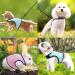 Adjustable Soft Rabbit Dishes & Mesh Harness - Outdoor Care for Small Pets (M Blue Pink) - Buy Online on SooperMarket.com