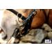 Buy Tysons Breeches Cavesson Leather - Extra Large Coldblood X-Full XX Full with Bit Attachment | Premium Quality Horse Tack - Buy Online on SooperMarket.com