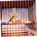 PRETYZOOM 1 Set Bird Cage Cleaning Brush Metal Cleaner Bird Brush Cleaning Bird Cage Accessories Bird Supplies 24X3X2CM As Shown - Buy Online on SooperMarket.com