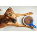 Van Ness 2 Cup Pet Food Scoop - Convenient Single Serving Size - Buy Online on SooperMarket.com