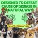 Dog Health Supplement Drops for Allergy Relief, Skin Itch, Kennel Cough, UTI & Ear Infection - Multivitamin Bacon Flavor - 2 Fl Oz - Buy Online on SooperMarket.com