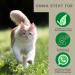 Emma Cat Vitamins 100ml | High Dose B Complex & Essential Nutrients for Immune Support | Vitamins A B12 D E Iron Zinc Selenium & L-Lysine - Buy Online on SooperMarket.com