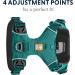 Ruffwear Front Range Dog Harness XXS - Reflective Adjustable & Comfortable for Daily Walks - No Pulling Aurora Teal - Buy Online on SooperMarket.com