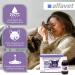 Alfavet Reconvales Antiphos - Kidney Support for Cats & Dogs | Nutritional Supplements with Phosphate Binders - 3 x 90ml Bottles - Buy Online on SooperMarket.com
