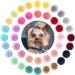 Qearl 48 Pcs Colored Ball Dog Ties Small Dog Bows - Pet Grooming Hair Accessories for Puppy & Cat - Buy Online on SooperMarket.com
