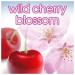 Suave 48-Hour Wild Cherry Blossom Antiperspirant & Deodorant Stick for Women 2.6 oz 2 Count | International Shipping Available - Buy Online on SooperMarket.com