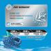Pre Workout Powder with Creatine HCL Beta Alanine L Citrulline Explosive Energy and Performance Icy Blue Razz Flavour 100% Clean: No Added Sugar Artificial Colours or Flavours - 170g - Buy Online on SooperMarket.com