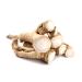 Fresh horseradish | Horseradish | Horseradish - 2nd class for the horse (500 g) 500 g (1 pack)
