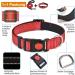 Haapaw Reflecting Dog Collar - Padded Neoprene Breathable Nylon for Small & Medium Dogs - Red (M 1-Pack) - Buy Online on SooperMarket.com