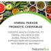 Natures Plus Animal Parade Probiotic for Kids - Mixed Berry Chewables | 30 Vegan Gluten-Free Servings | Supports Gut Health & Immune Function - Buy Online on SooperMarket.com