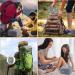 Shop Wugu 2stk Portable Medication Bag - Moisture-Resistant Travel Pharmacy Bag with Tablet Boxes for School Camping & Hiking - Buy Online on SooperMarket.com