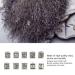 Buy 10pcs Viking Beard Pearls | Exquisite Dreadlock Hair Jewelry for Men | Durable DIY Accessories - Buy Online on SooperMarket.com