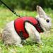 Adjustable Soft Rabbit Dishes & Leash for Small Pets | Kitty & Bunny Walking Accessories - Red XS (20-27.5cm) - Buy Online on SooperMarket.com