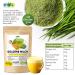 Buy EWL Organic Golden Milk with Barley Grass & Turmeric - 400g Superfood Blend - Buy Online on SooperMarket.com
