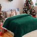 Inhand Sherpa Throw Blanket Twin Size 65x90 - Forest Green Cozy Reversible Fleece Blanket for Couch, Sofa, Bed - Soft and Warm Sherpa Fleece Throw - Plush Lap Blanket - Buy Online on SooperMarket.com