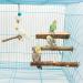 4 Pack Natural Wood Bird Perch for Bird Cages - Parrot Stand Platform Exercise Toys - Cage Accessories for Budgies, Cockatiel, Conure, Parakeet - Paw Grinding Stick Perch Stand - Buy Online on SooperMarket.com