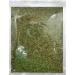 Dried French Tarragon - Premium Quality 50g - Buy Online Now! - Buy Online on SooperMarket.com