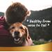 Natural Sun Protection Spray for Dogs & Cats | 250ml Sunscreen Fluid - Linea 101 - Buy Online on SooperMarket.com