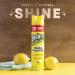 Endust Multi-Surface Lemon Zest Cleaning Spray 12.5oz (2-Pack) - Dusting and Polishing Formula - Buy Online on SooperMarket.com