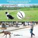 Buy Aystkniet 20m Reflective Bungee Leash for Large Dogs (Up to 80kg) - Padded Handle Lockable Hook - Durable Day & Night Walking Leash - Blue - Buy Online on SooperMarket.com