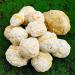 Pair of Agate Geode Natural Reiki Rock Used for Clarity and Purpose Crystal Cluster Gemstone Specimen for Ornaments D cor Artwork Gifts 100-200g Gift (Size : 200-260g) - Buy Online on SooperMarket.com