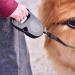 Buy Ferplast Flippy One Dog Leash for Large Dogs up to 35 kg - 5m Retractable Roller Leash with One-Button Lock - Red - Buy Online on SooperMarket.com