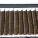 Scala 0.10mm C Curl 10mm Dark Brown Individual Eyelash Extension - Natural False Lashes - Buy Online on SooperMarket.com