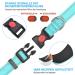 Haapaw Reflecting Dog Collar - Padded Neoprene Breathable Nylon for Small & Medium Dogs - Turquoise - Durable & Comfortable (1-Pack) - Buy Online on SooperMarket.com