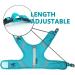 Premium Cat Dishes with Leash | Reflective Cat Patrol Gear for Safe Adventures - Buy Online on SooperMarket.com