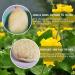 Natural Luffa Body Cloths - Eco-Friendly Biodegradable Shower Scrubs (4 Pack) for Men & Women - Buy Online on SooperMarket.com