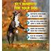 True Dog Chicken Bone Broth Powder 100% Pure Chicken Protein Powder for Cats & Dogs | Joint Digestion & Gut support | Makes 2ltrs | High in Collagen | 20 Servings 60g - Buy Online on SooperMarket.com