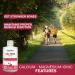 Liquid Ionic Calcium Magnesium Formula with Vitamin D Vitamin C and Zinc - Maintain Healthy and Stronger Bones - 500ml - Cherry Flavor - Non-GMO Gluten Free Sugar Free - Made in Canada - Buy Online on SooperMarket.com