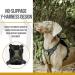 OneTigris Eureka Small Dog Backpack - Hiking Backpack with Poop Bag Dispenser for Small Dogs - Green - Buy Online on SooperMarket.com