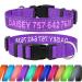 Tagme Personalized dog collar for small dog with embroidered reflective nylon dog collar with pet name & telephone number purple s s (1 Pack) purple