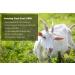 I m NOT A Baby! Kids Goat Milk Face Wash - Gentle Facial Cleanser for Sensitive Skin - Buy Online on SooperMarket.com