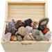 Rokkolino Treasure Chest: Real Minerals Gemstones & Fossils - Discover Nature's Treasures - Buy Online on SooperMarket.com