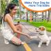 PWEZON Rechargeable Ultrasonic Anti Dog Barking Device | Dual Sensor Deterrent with Training Modes and LED Flashlight - 25 FT Range - Buy Online on SooperMarket.com