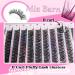 MIZ BARN Lash Clusters - 144pcs D Curl Eyelash Extensions (12-18mm) - Fluffy False Eyelashes for DIY at Home - Buy Online on SooperMarket.com