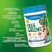Progressive Vegegreens Blueberry Medley Flavour 265 g Anti-Inflammatory plus Liver & Digestion Support Blueberry Medley 265 g - Buy Online on SooperMarket.com