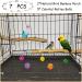 Natural Bamboo Bird Perch Stand Set for Budgies, Lovebirds, and Medium Parrots - 2PCS - Buy Online on SooperMarket.com