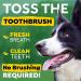 TropiClean Fresh Breath Oral Care Water Additive for Dogs - 33.8 fl oz - Dog Breath Freshener - Plaque & Tartar Defense - No Toothbrush Needed - Buy Online on SooperMarket.com