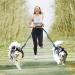 Uppetly Hands Free Dog Running Leash with Adjustable Waist Belt Dual Handle Elastic Bungees Retractable Rope for Medium and Large Dogs Reflective Stitches for Walking Hiking Biking With Pouch for 2 dogs - Buy Online on SooperMarket.com