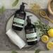 Baylis & Harding Goodness Oud  Cedar & Amber Hand & Body Lotion - Pack of 3 - 16.9 Fl Oz. - Buy Online on SooperMarket.com