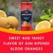 Sanpellegrino Blood Orange Sparkling Fruit Beverage Cans 11.15 Fl Oz (Pack of 6) - Refreshing Italian Soda - Buy Online on SooperMarket.com