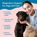 Prana Pets Respiratory Support Formula for Dogs and Cats - Promotes Optimal Respiratory Function - 1 Pack - Buy Online on SooperMarket.com