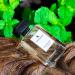 Swiss Arabian Mint and Wood for Men - Sophisticated Modern Man's Fragrance - Spicy Woody Fragrance with Lemon Cardamom and Tonka Bean - 3.4 oz - Buy Online on SooperMarket.com