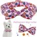 Shop Cute Pink Pumpkin Dog Collar with Bow - Aring Pet Halloween Halison X-Small Cotton Halloween Pumpkin Lamp Metal Buckle - Ideal for Pets! - Buy Online on SooperMarket.com