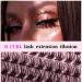 120Pcs DIY Natural Look Wispy Cluster Lash Extensions - 8-16MM D Curl Individual Lashes for Home Use - Reusable Individuals (Pretty) - Buy Online on SooperMarket.com